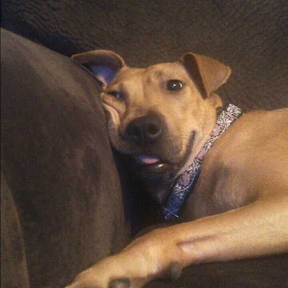 Meet your Posher, Carlyn - Picture 1 of 1