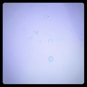 Meet your Posher, Bibiana