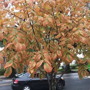 Meet your Posher, Ruth