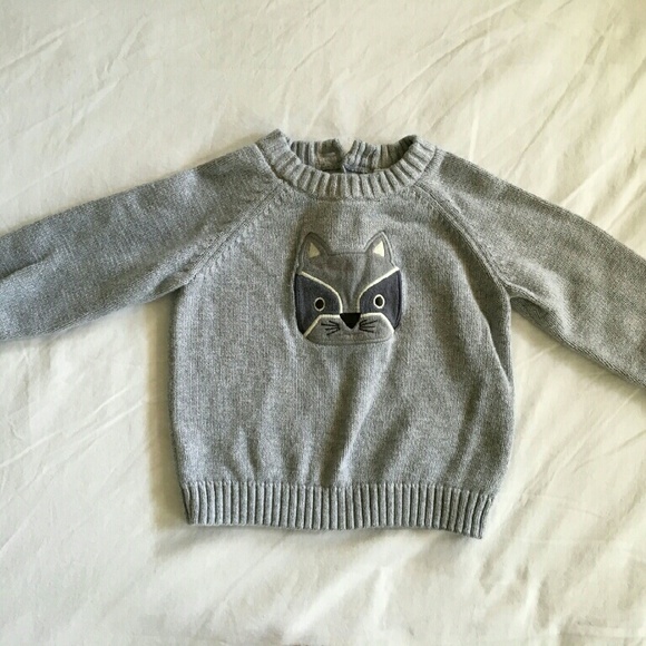 Rad Raccoon Sweater