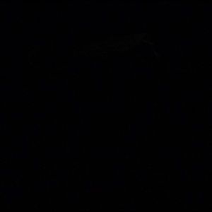 Meet your Posher, Elijah