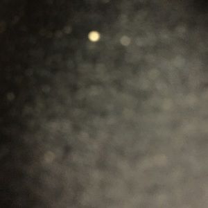 Meet your Posher, Sophie