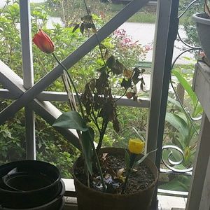 Meet your Posher, Mariner