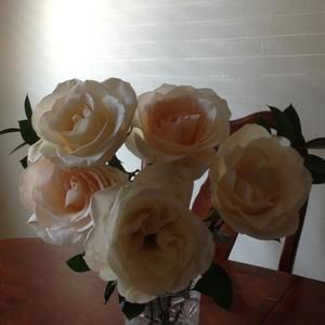 Meet your Posher, Roberta