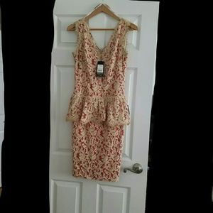 Tadashi Shoji Dress Size 6 brand new w/tags