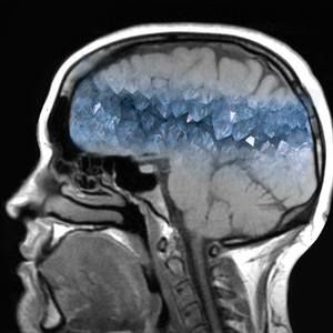 Meet your Posher, Celeste