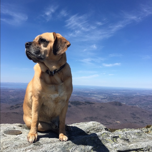 Meet your Posher, Toni