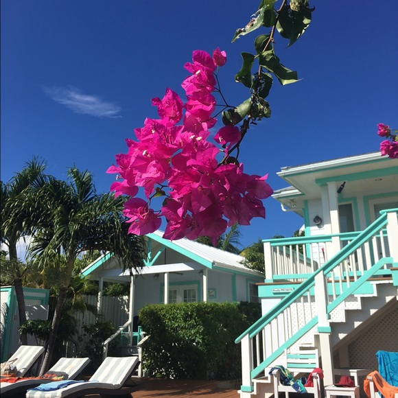 Meet your Posher, Pam