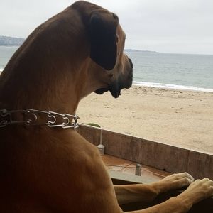 Meet your Posher, Traci n chris