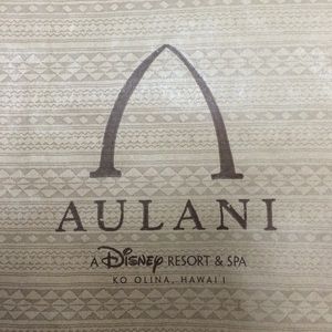 Small Aulani Paper Bag