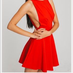 Red Sleeveless Skater Dress