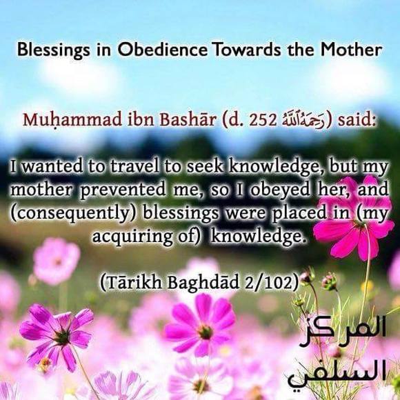 Meet your Posher, Mohamed - Picture 1 of 1