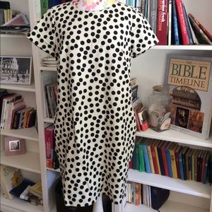 J. Crew Polka Dot Dress with Pockets