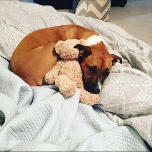 Meet your Posher, Angel