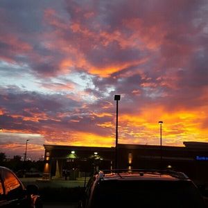 Meet your Posher, Alec