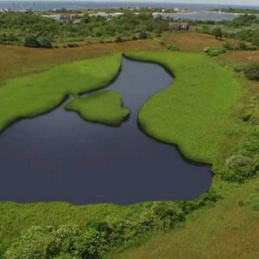 Meet your Posher, Carly