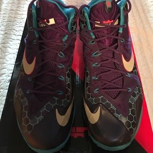 LeBron XI Summit Lake Hornet colorway size 13