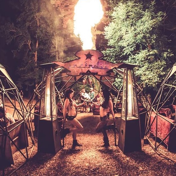 Meet your Posher, Cassadi :) - Picture 7 of 8