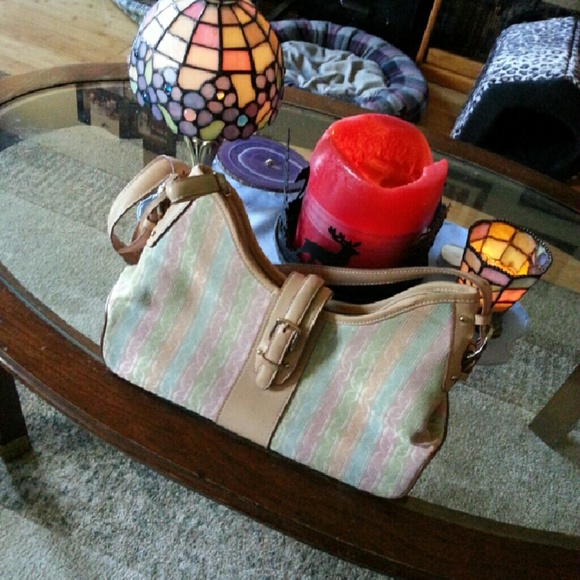 Fossil purse