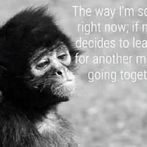 Meet your Posher, Ras