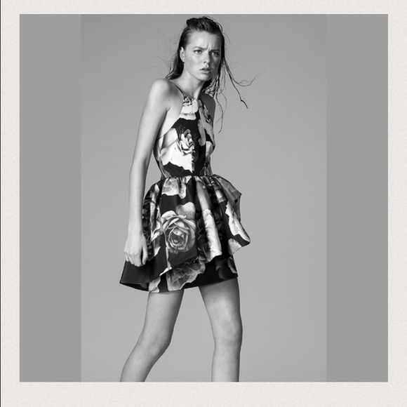 Cameo a.k.a C/Meo Alone Tonight Peplum Dress