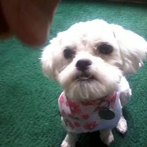 Meet your Posher, Ruby