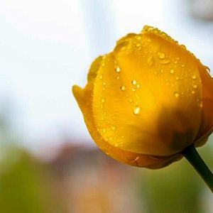 Meet your Posher, Lenette