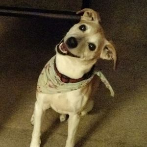 Meet your Posher, Alisa