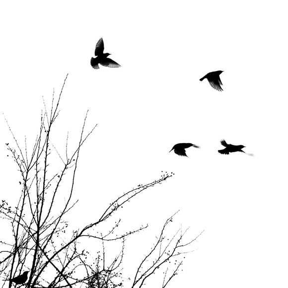 Meet your Posher, Heather - Picture 1 of 1