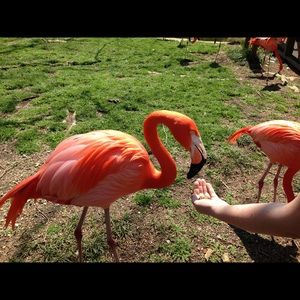 Meet your Posher, Tracy