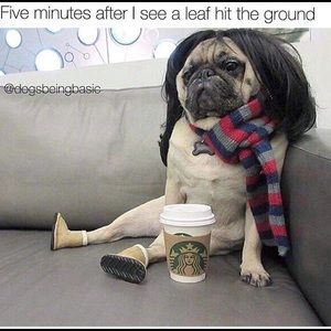 Meet your Posher, Janelle