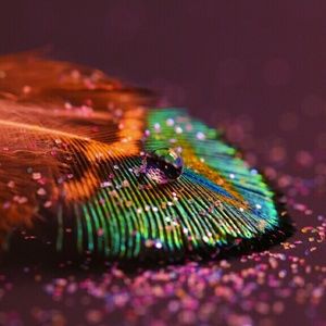 Meet your Posher, Kira