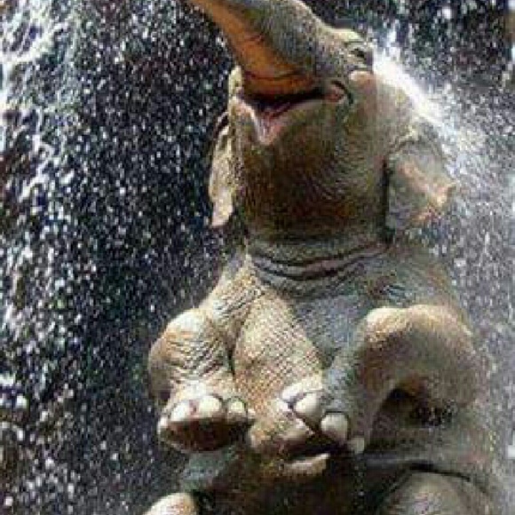 Meet your Posher, Cindy