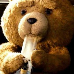 Meet your Posher, Hector