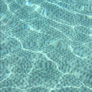 Meet your Posher, Noah