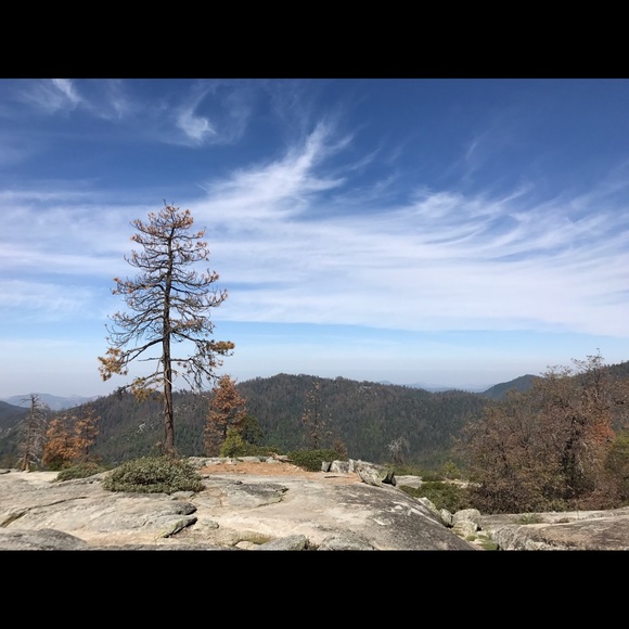 Meet your Posher, Dalia - Picture 1 of 1