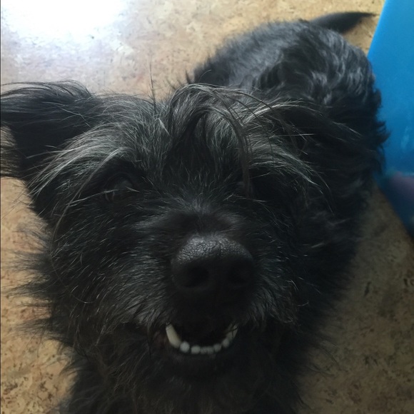 Meet your Posher, Deborah