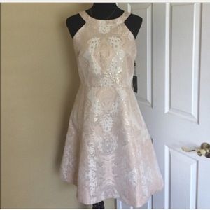 Cute Adrianna Papell Cream/Blush & Gold dress