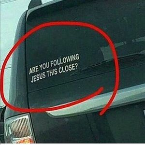 Meet your Posher, Betty