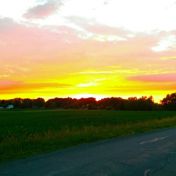 Meet your Posher, Alecia