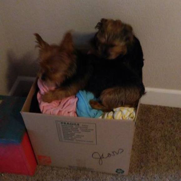 Meet your Posher, Wendy