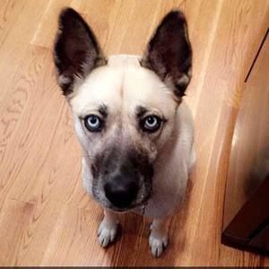 Meet your Posher, Jason