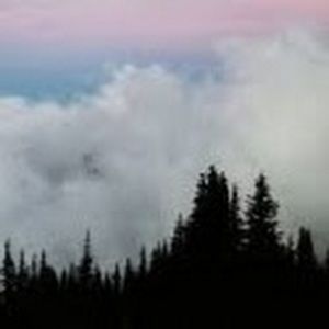 Meet your Posher, Ericka