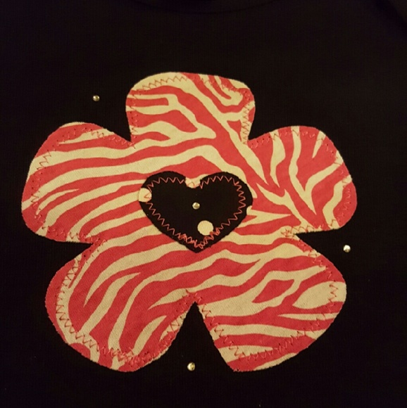 The Zebra Flower.    (18M)