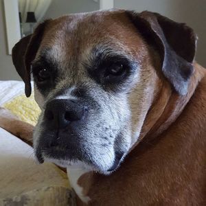 Meet your Posher, Cindy