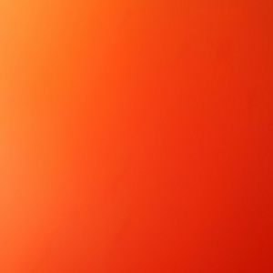 Meet your Posher, Jaee