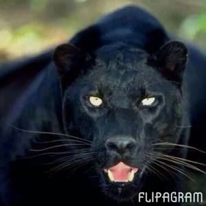 Meet your Posher, Rene