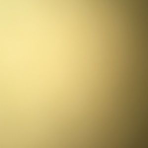 Meet your Posher, Annika