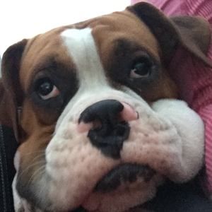 Meet your Posher, Kimberley