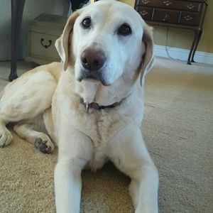 Meet your Posher, Matthew